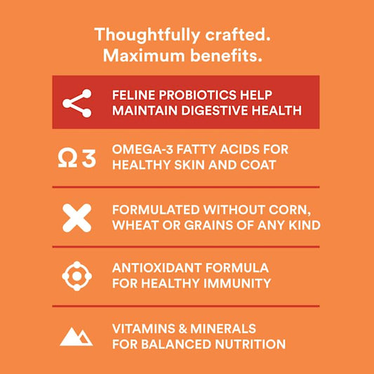 WholeHearted Grain Free Chicken Formula Dry Cat Food 12 lbs.