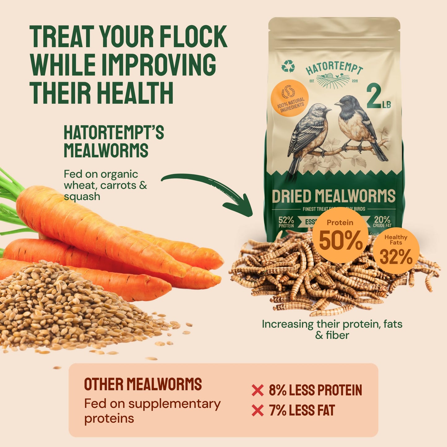 Hatortempt Dried Mealworms - 2 Lb Bag - High Protein Chicken Feed, Mealworms for Birds & Chickens - Meal Worms for Wild Birds & Turtles
